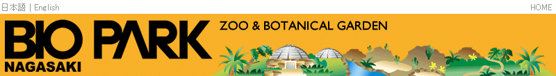 Top Banner