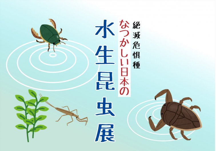 なつかしい水生昆虫展.jpg