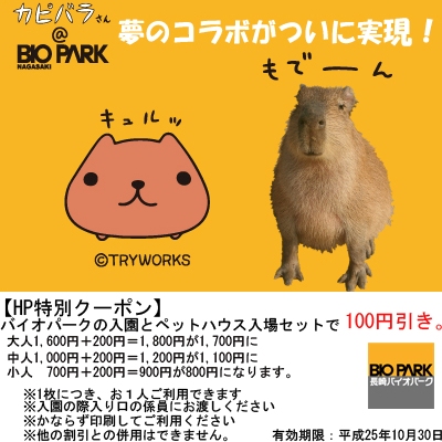 カピバラさんコラボ特別クーポン 終了しました 長崎バイオパーク Zooっと近くにふれあえる九州の動物園 植物園