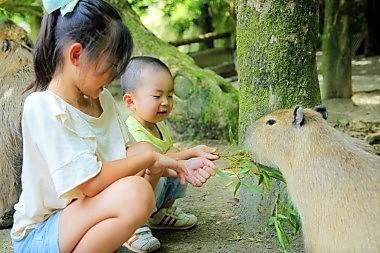 esayari_capybara_2.jpg