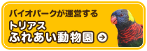 トリアスふれあい動物園