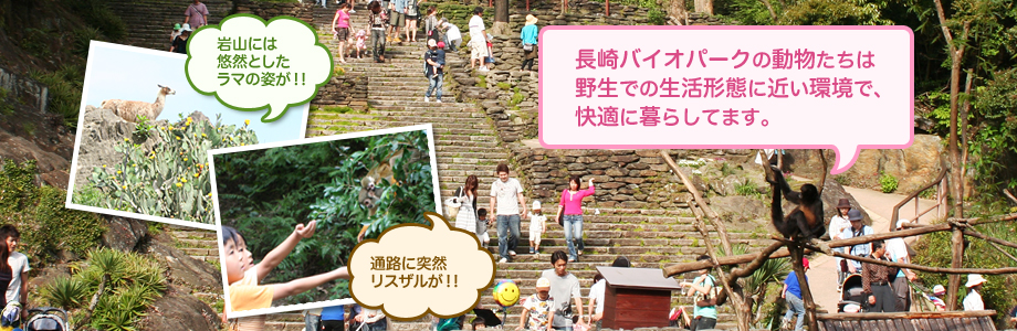 スライド写真1