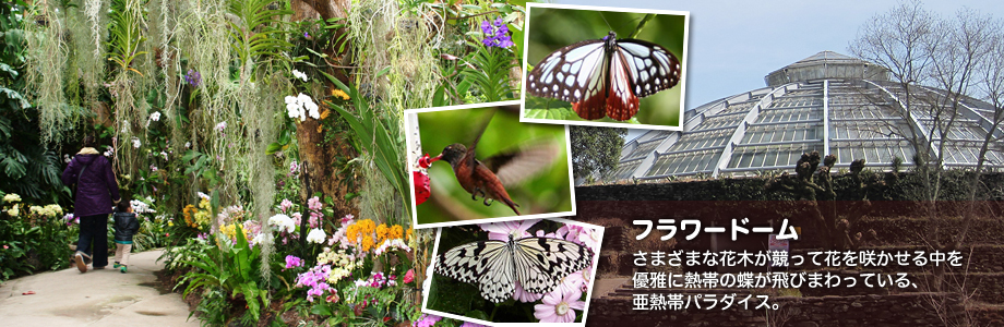 スライド写真2