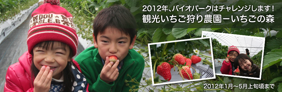 スライド写真3