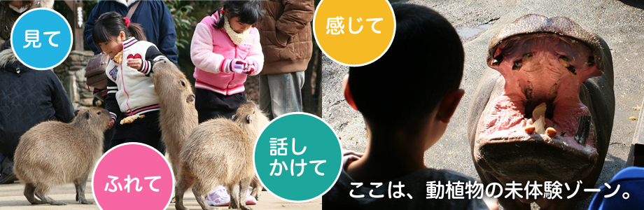 スライド写真4