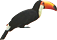 鳥