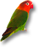 インコ