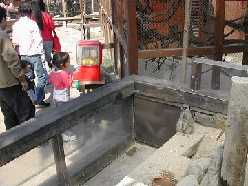 20070408trius28.jpg