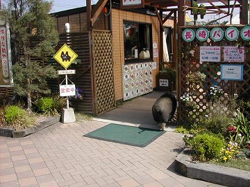 20070408trius33.jpg
