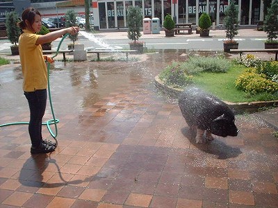 20070808-1.jpg
