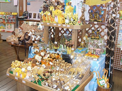 20071115-1.jpg