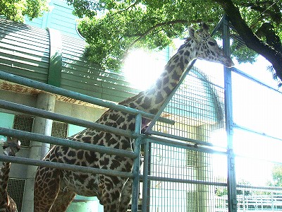 20071115-3.jpg