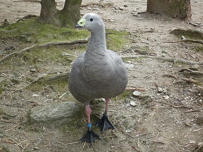 20080403-1.jpg