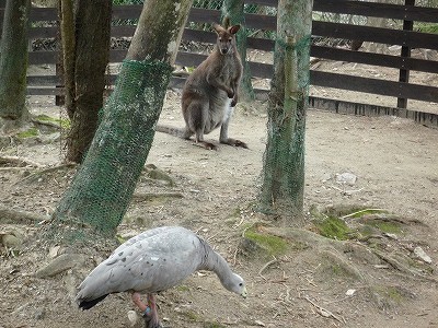 20080403-2.jpg