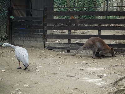 20080403-3.jpg