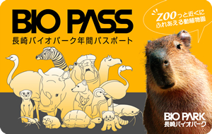 20080719biopass01.jpg