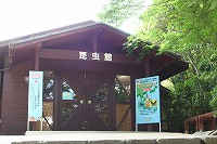 20080723%20insect1.jpg