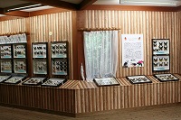 20080723%20insect2.jpg