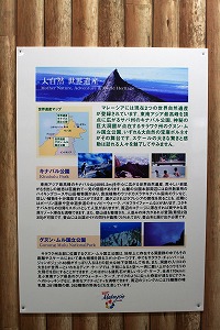 20080723%20insect4.jpg