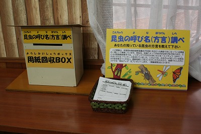 20080727%20insect8.jpg