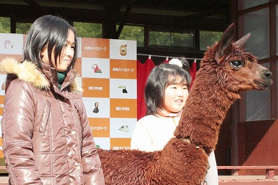 20091226%20syougatu.jpg
