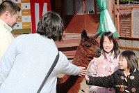 20091226%20syougatu3.jpg