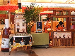 20100815agianfair3.jpg