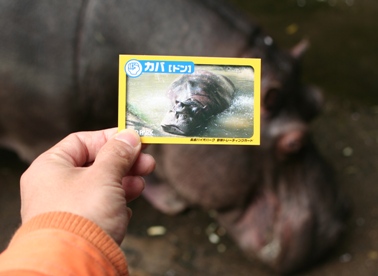 kabacard20090319.JPG
