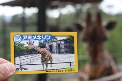 kirincard20090319.JPG
