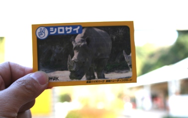 saicard20090319.JPG