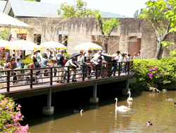 トトーラの池