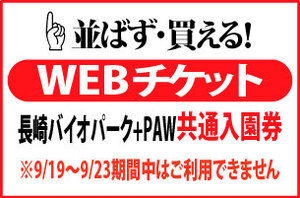 maeuri-SW-icon.jpg
