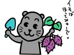 お待たせいたしました！イモばほってみゅ～で！:イメージ1