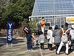 お正月イベント:イメージ1