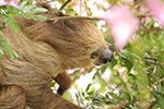 【第五弾】カメラ大好き春岡と一緒に園内をまわって可愛い動物たちの写真を楽しく撮りましょうツアー:イメージ1