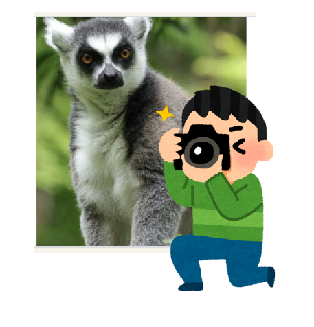 【第三弾】カメラ大好き春岡と一緒に園内をまわって可愛い動物たちの写真を楽しく撮りましょうツアー:イメージ1