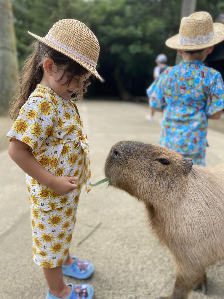 カピパラさん、どうぞ♡.jpg