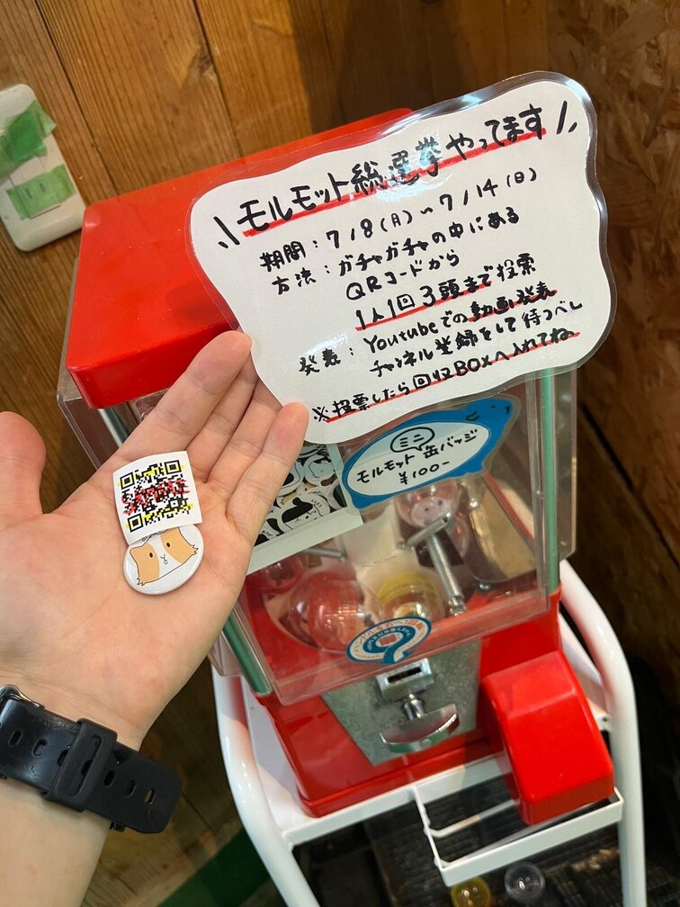 e9b6f69a-677b-49d6-949d-edcc5d8c00db.jpg