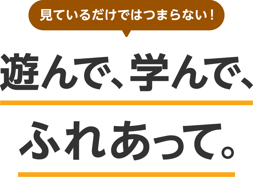 見ているだけではつまらない！遊んで、学んで、ふれあって