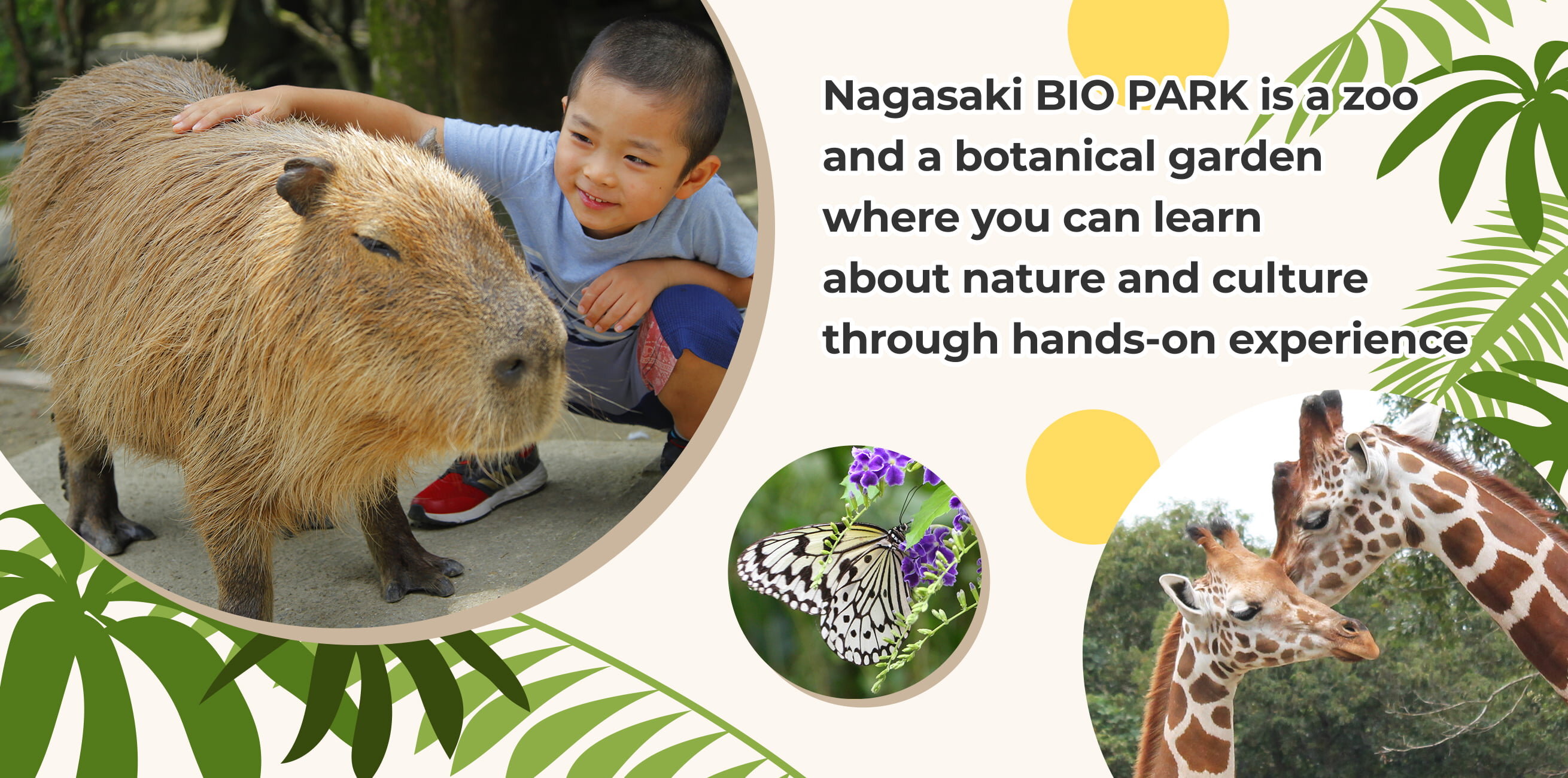 Nagasaki BIO PARK is a zoo and a botanical garden where you can learn about nature and culture through hands-on experience