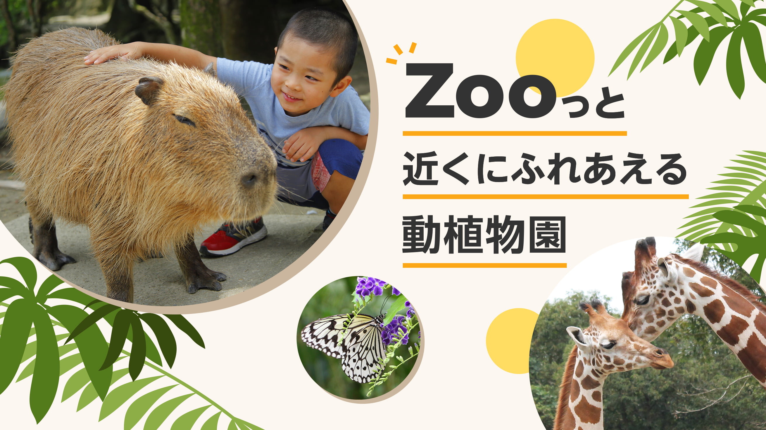 Zooっと近くに触れ合える動植物園