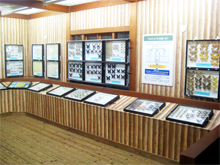 Insectarium