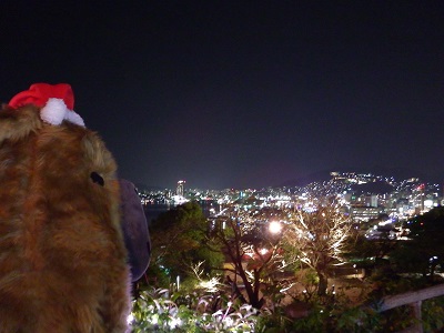 夜景を眺めるカピタン横顔400.jpg