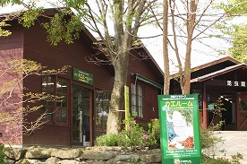 20070427kaeroom1.jpg