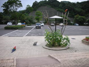 20070629-1.jpg