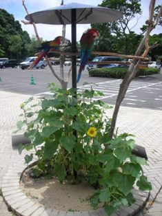 20070629-3.jpg