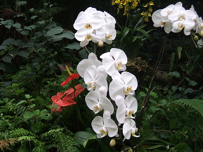 20070914-1.jpg
