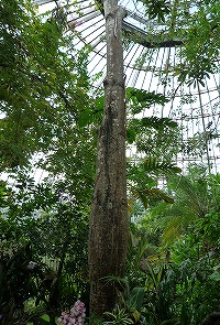 20081215tokkurikiwata-4.jpg