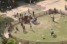 20090502%20tyanpon2.jpg
