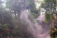 2009072703dome27.jpg